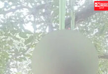 ફરી એક વખત પ્રેમ પરીક્ષામાં પાર પડવા પ્રેમીપંખીડાએ આત્મહત્યાના રસ્તે…