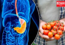 જાણો: કઈ બીમારી વાળા લોકોએ ટામેટા ન ખાવા જોઈએ… આરોગ્ય નિષ્ણાંત