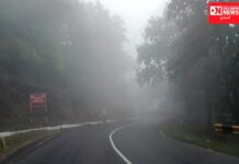 ડાંગ પંથકમાં સવારે ધુમ્મસ અને વરસાદના અમી છાંટણા વચ્ચે સર્જાયા મીની કાશ્મીરની દ્રશ્યો