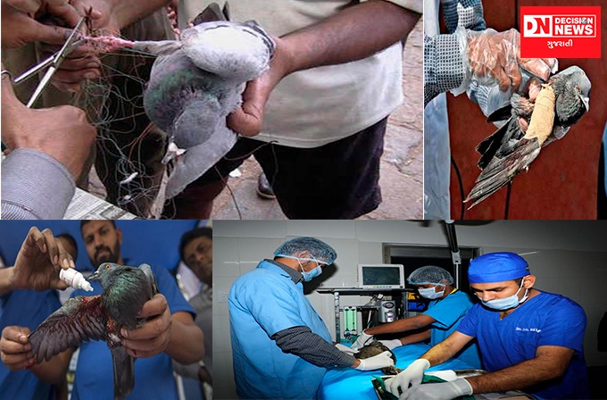 WhatsApp Image 2022-01-12 at 10.58.34 AM