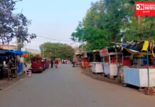 રાજ્યમાં કોરોના અને એમેક્રોનની દહેશતનાં પગલે ગિરિમથક સાપુતારા ખાતે મંદીનો માહોલ