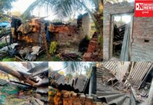 શ્રમજીવી પરિવારના મકાન ઉપર ઝાડ ધરાશાયી થતાં છત ભાંગીને ભૂકો થઇ ગઇ