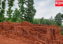 ડાંગ વહીવટી તંત્ર અને વન વિભાગના અધિકારીઓ જાણે ઠંડીની મસ્ત નીંદરમાં..