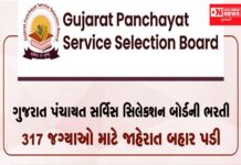 ગુજરાત પંચાયત સેવા પસંદગી મંડળએ કયા વિભાગમાં ભરતીની કરી જાહેરાત: જાણો