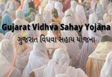 ગુજરાતમાં વિધવાઓને અપાતી સહાય બંધ અવસ્થામાં..
