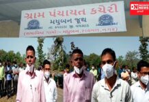 કપરાડા તાલુકાના 4 ગામોને સંઘ પ્રદેશમાં સમાવવાના વિવાદમાં રાજકારણની એન્ટ્રી