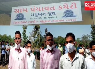 કપરાડા તાલુકાના 4 ગામોને સંઘ પ્રદેશમાં સમાવવાના વિવાદમાં રાજકારણની એન્ટ્રી