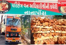 કપરાડા અને ધરમપુરમાં લાકડાની તસ્કરીમાં બેફામ વધારો