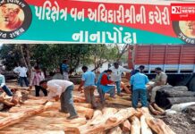 કપરાડાના નાના પોઢામાં પુસ્પા રાજ ” જાણે ખેર તસ્કરો કહી રહ્યા હોય ઝુંકેગા નહિ સાલા…