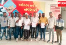 ચીખલીના દેગામ વારી નામની સોલાર વિરુદ્ધ BTTSએ આપ્યું આવેદનપત્ર