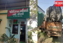 ચીખલીમાં ખેર તસ્કરો બેફામ જાણે આદિવાસી વિસ્તારોમાં પુષ્પા રાજ…