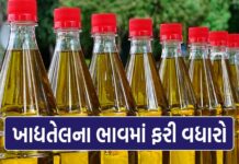 ગૃહિણીઓનું ફરી ખોળાશે બજેટ કપાસિયા તેલ અને સિંગતેલના ભાવમાં થશે વધારો…