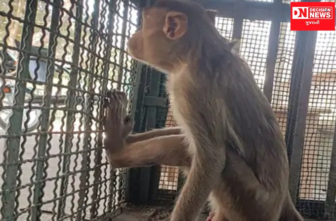 WhatsApp Image 2022-02-23 at 4.20.03 PM