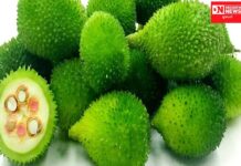 દુનિયાની સૌથી શક્તિશાળી શાકભાજી એટલે કંકોડા.. જાણો શું તેના ફાયદા