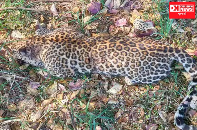 WhatsApp Image 2022-03-02 at 9.23.05 AM