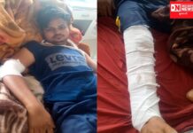 જંગલી ડૂક્કરોના ઝુંડએ કરેલા હુમલોમાં ગંભીર રીતે ઘવાયેલા યુવકને સારવાર અર્થે ખસેડાયા: જાણો સમગ્ર ઘટના