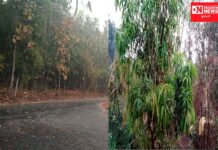 કમોસમી વરસાદની ડાંગમાં એન્ટ્રી થતા ખેડૂતોમાં પાકના નુકસાનની સર્જાય ભીતિ.. જુઓ વિડીયો