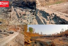 ભ્રષ્ટાચારના કારણે તૂટેલા ચેકડેમના લીધે સિંચાઈના પાણી વગરની આહવાના ગુંદીયા ગામની ખેતીના બેહાલ.. જુઓ વિડીયો