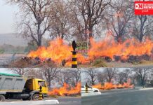 વાંસદામાં બની ભયાનક આગની ઘટના.. કારણ અકબંધ.. લાખોના લાકડા બળીને થયા ખાખ..! જુઓ વિડીયો..