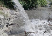 વણાકબોરી થર્મલ પાવર સ્ટેશન દ્વારા પ્રદુષિત પાણી છોડી માનવ સ્વાસ્થ્ય સાથે કરાઈ રહ્યા છે ચેડાં: તંત્ર ચુપકેદી