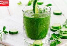 કાકડી અને કોથમીર બન્નેના મિશ્રણમાંથી બનેલી સ્મુધી ઉનાળામાં પીવાથી શું મળશે લાભ… જાણો