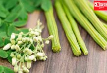 જાણો: સરગવાના ફૂલ,પાન અને સિંગ આપણા સ્વાસ્થ્ય માટે કેટલા છે ઉપયોગી..