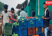 ધરમપુરનું ધીમે ધીમે ધમ-ધમતું બામટી કેરી માર્કેટ..