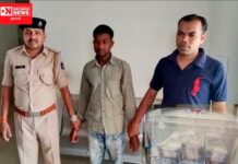 વલસાડ SOGની ટીમે કપરાડાથી 500 રૂપિયાની 586 ડુપ્લીકેટ નોટ સાથે ઝડપાયો યુવક