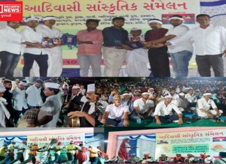 ધરમપુરના આંબા ગામમાં માવલીમાતા મંદિરની દહીંગઢ ડુંગરની તળેટી પર યોજાયું આદિવાસી સાંસ્કૃતિક સંમેલન: જુઓ વિડીયો