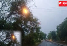 મુસાફરોના જીવ સાથે ખિલવાડ કરી રહેલું DGVCLની અનાવલ શાખાનું વહીવટીતંત્ર.. જુઓ વિડીયો