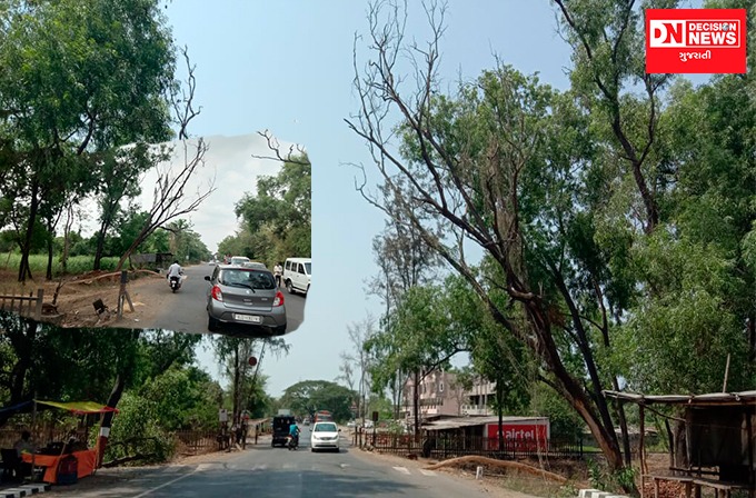 WhatsApp Image 2022-06-09 at 9.10.39 AM