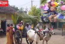 દાદાની સાથે સણગારેલા બળદગાડામાં… સ્કુલ ચલે હમ… જુઓ વિડીયો