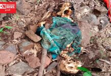 આહવાના ઝારખંડેસ્વર મંદિર નજીકની ખીણમાં મળ્યું આધેડની લાશનું હાડપિંજર..