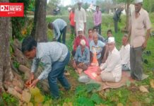 વાંસદા તાલુકાના દુબળ ફળિયા ગામમાં કરાઈ પરંપરાગત વાધ દેવ અને ગામ દેવીનું પૂજાવિધિ