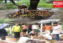 વાંસદાના પાટાફળિયાના ગ્રામજનોએ તેરા ની હવાન કરી ડાંગર રોપણીનો કર્યો આરંભ..