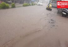 વાંસદા તાલુકામાં નદી-નાળા છલકાયા.. 12 કલાકમાં 7 ઈંચ વરસાદ.. વાહનવ્યવહાર ખોરવાયો