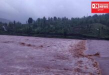 કપરાડાના નાની કોરવલ માની, બોરપાડા, ટોકરપાડા, મોહવપાડા જેવા ગામોમાં નદીઓ છલકાતા ગંભીર સ્થિતિ.. તંત્રની મદદ જરૂરી