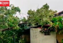 વાંસદાના લાખાવાડી ગામે ઘર પર ઝાડ પડતા વિધવા મહિલા પર તુટ્યો દુઃખોનો પહાડ..