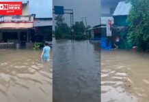 ચીખલીમાં અનેક ઘરોમાં પાણી ઘુસ્યા, ઘણા કાચા ઘરને નુકસાન: જાણો કેટલા લોકોનું કરવું પડયું સ્થળાંતર