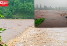 ડાંગ જિલ્લામાં 24 કલાક વરસાદનું મેઘ તાંડવ: જાણો કયા કયા રસ્તાઓ થયા અસરગ્રસ્ત..