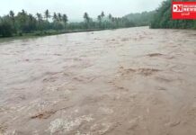 કપરાડાની પાર નદીમાં એતિહાસિક ઘોડા પૂર નેશનલ હાઇવે 56 કરાયો હતો બંધ.. જુઓ વિડીયો