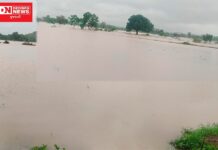 ગરૂડેશ્વર તાલુકાના અક્તેશ્વર, સાંજરોલી, કોયારી ગામોના ખેતરો ફેરવાયા બેટમાં: પાકને ભારે નુકશાન..ખેડૂતોની વળતરની માંગ