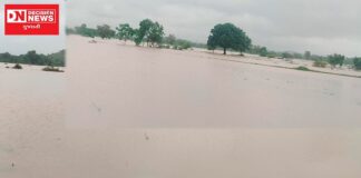 ગરૂડેશ્વર તાલુકાના અક્તેશ્વર, સાંજરોલી, કોયારી ગામોના ખેતરો ફેરવાયા બેટમાં: પાકને ભારે નુકશાન..ખેડૂતોની વળતરની માંગ