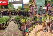 ઉમરપાડાની પ્રાથમિક શાળા,વેંજાલીમા યોજાયો વૃક્ષારોપણ કાર્યક્રમ.. જુઓ વિડીયો..