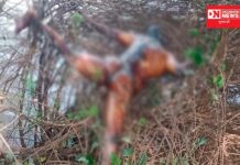 ધરમપુરમાં 17 દિવસ પહેલા પૂરમાં તણાયેલા શખ્સની વાંસદાની નદીના પટમાં નગ્ન હાલતમાં મળી લાશ..