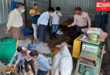 વલસાડમાં ગાય-ભેંસ વર્ગમાં લમ્પી વાયરસના 5 શંકાસ્પદ પૈકી 1નો રિપોર્ટ પોઝિટિવ, તંત્ર એકશનમાં..