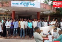 કપરાડામાં લાયબ્રેરીના મકાનનું પ્રાથમિક શાળામાં બાંધકામ કરવા બાબતે અપાયું આવેદનપત્ર..