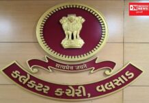 તલાટીઓની હડતાલ સામે વલસાડ વહીવટી તંત્ર આવ્યું હરકતમાં.. જાણો શું લીધો નિર્ણય..