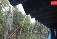 નવસારી જિલ્લામાં વરસાદની ફરીથી ધમાકેદાર એન્ટ્રી: ખેડૂતોમાં આનંદો.. શું છે આગાહી