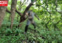 વાંસદાના લાછકડી ગામના યુવાને અજાણ્યા કારણોસર કરી આત્મહત્યા: પોલીસ તપાસ શરુ.. જાણો સમગ્ર ઘટના